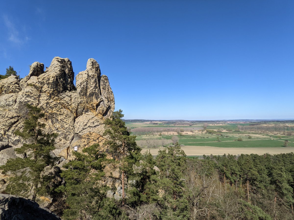 Dan Korostelev tweet media