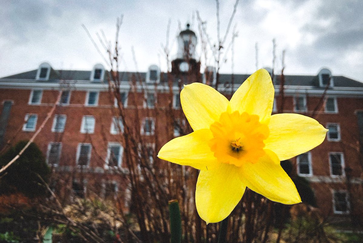stanstead1872's tweet photo. Happy Mother’s Day to all moms in every capacity #stansteadcollege #caisboarding #boardingisbetter https://t.co/YboSnAH4j8