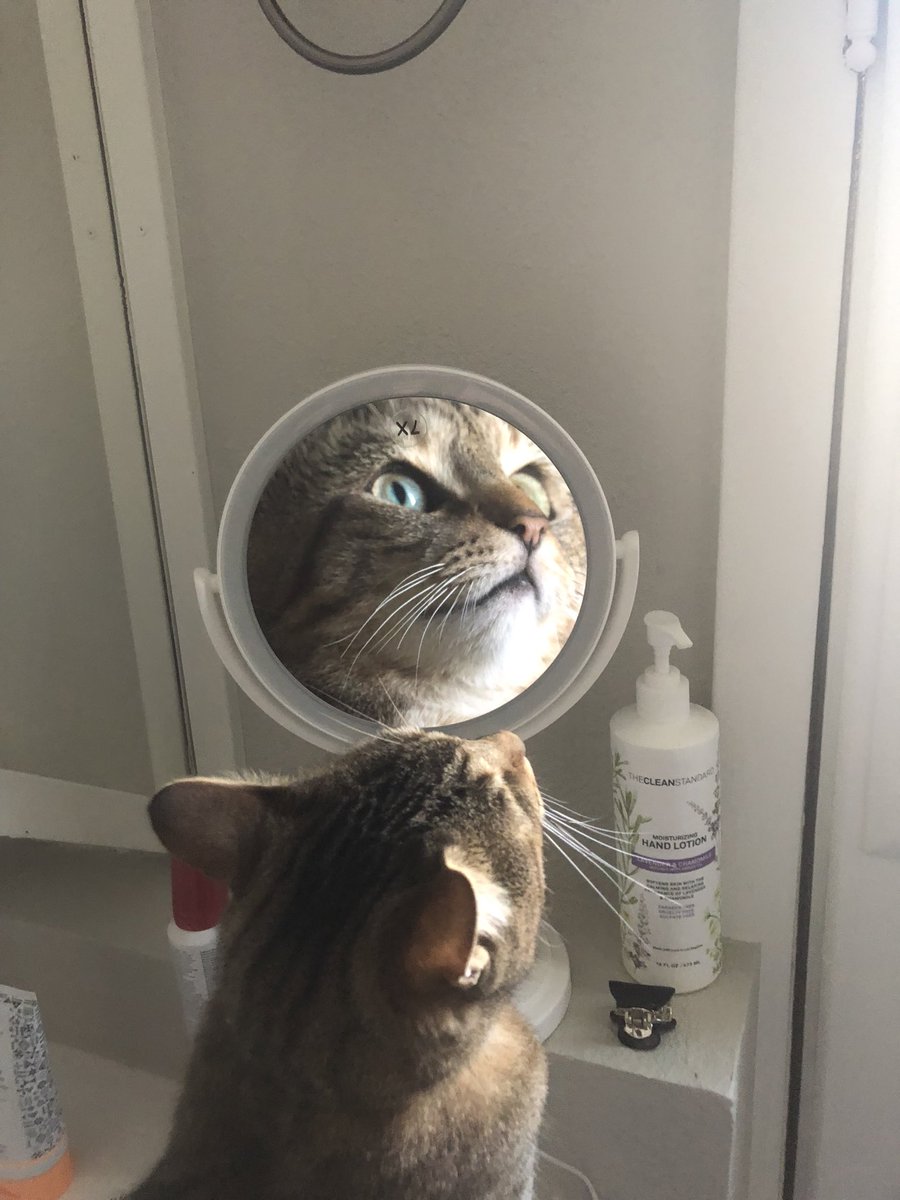 Luke Beshar tweet media