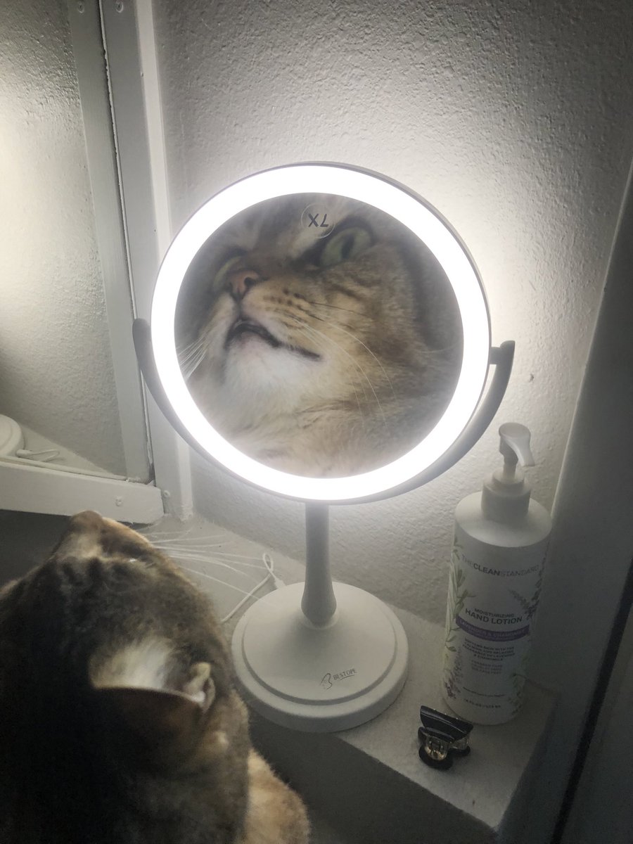 Luke Beshar tweet media