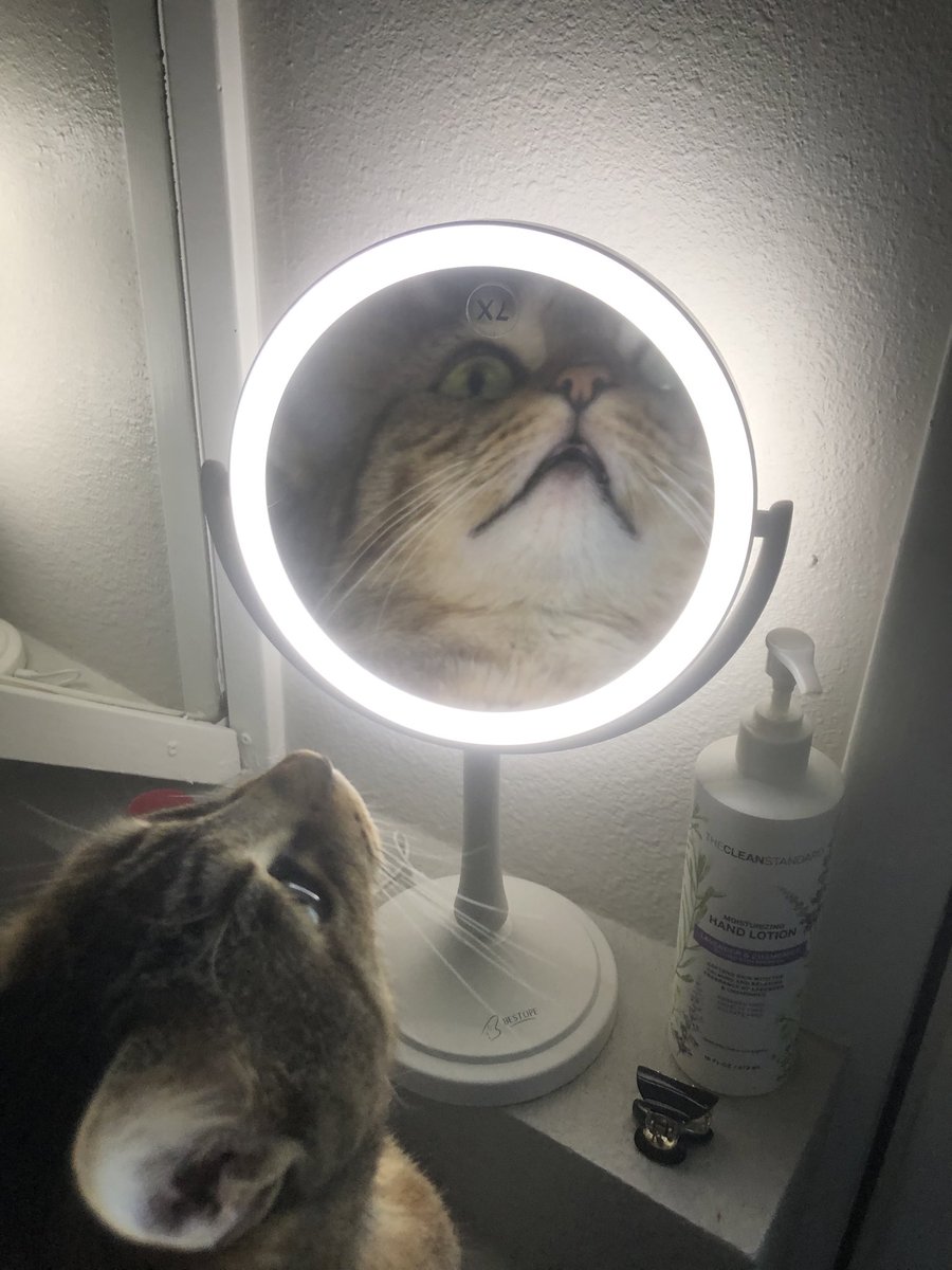 Luke Beshar tweet media