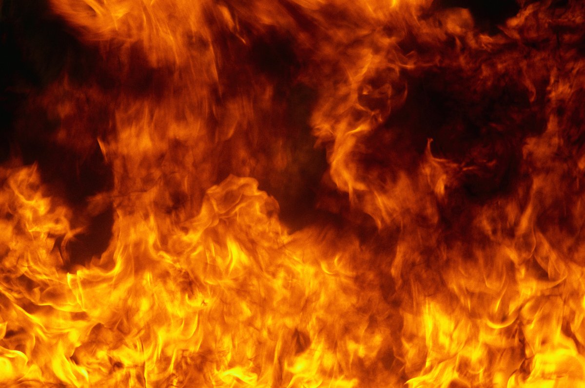 ORBITALPtoken's tweet photo. Largest Token Burn In History = 50% OrBitalP Burned
5,000,000,000,000 Tokens Burned 5/8/2022
Buy OrBitalP Now before the rush, Get Yours Now!
https://t.co/epkZsAsawg
#tokenburn #cryptoburn #shib #doge #Elon #orbitallaunchpad #crypto #bitcoin #eth #newcrypto #wsb #cryptomoonshot https://t.co/c7GDnjE5GV