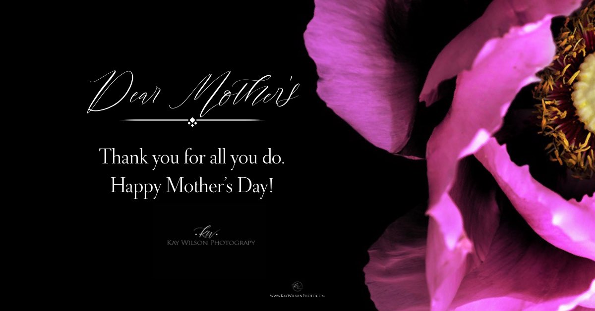 KayWPhoto's tweet photo. Happy Mother’s Day! https://t.co/PbNq8FpKAo