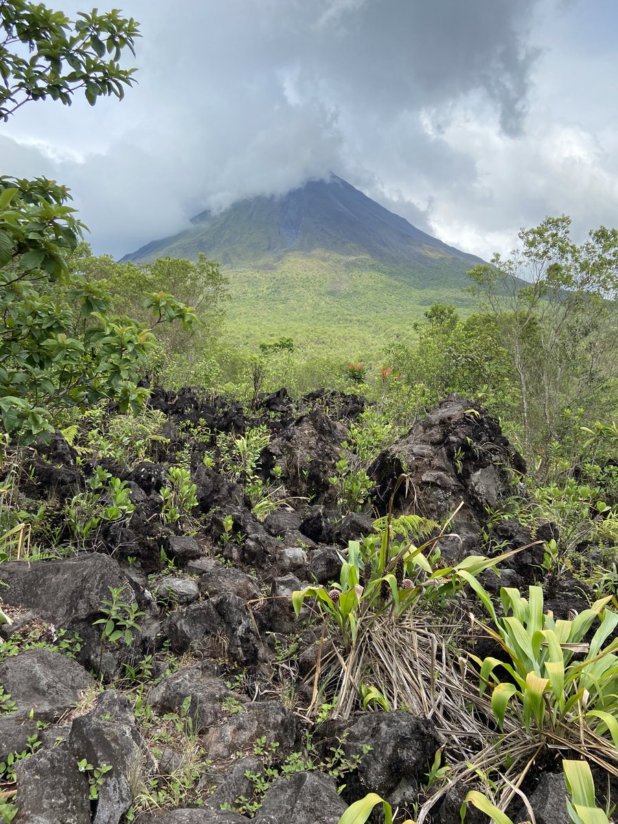 LeftInControl's tweet photo. Costa Rica is quite nice https://t.co/Chf3mhsJw6