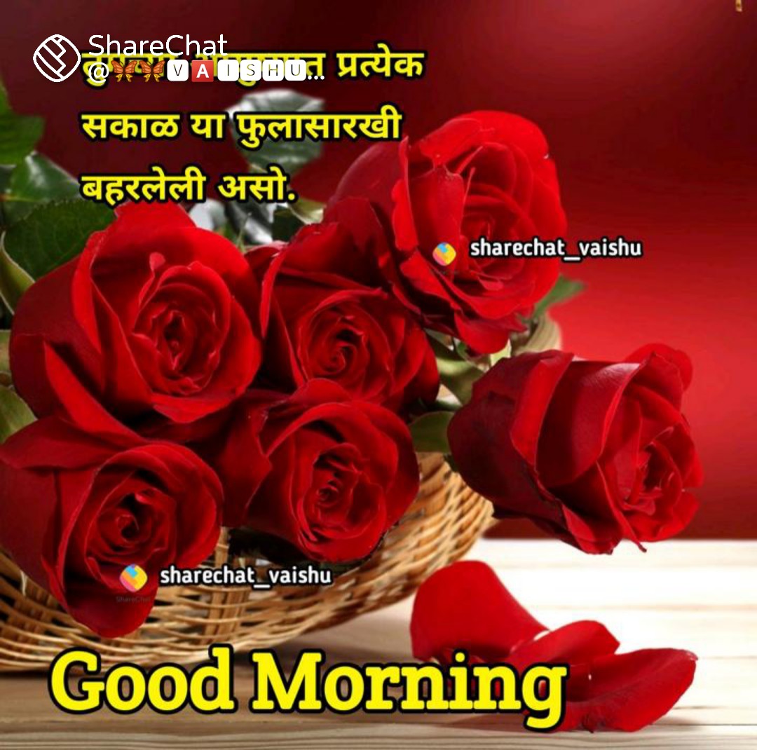 MulayeSuwas's tweet photo. @Riya828 https://t.co/hRSmJZ0wx5