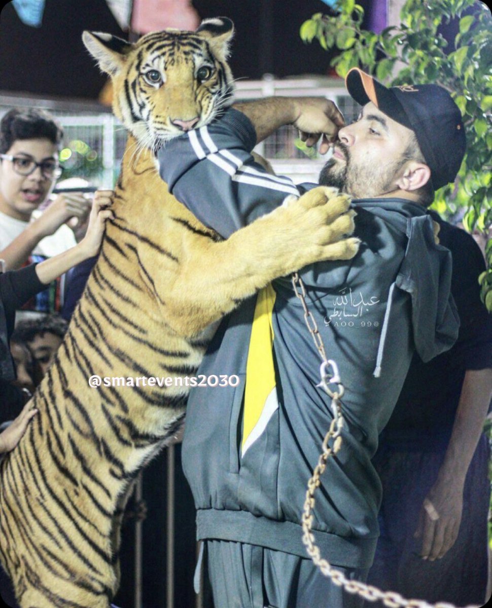 smartevents2030's tweet photo. #روح_حائل

منتزه المغواه.. 🦁 https://t.co/hUeFWtlO1c