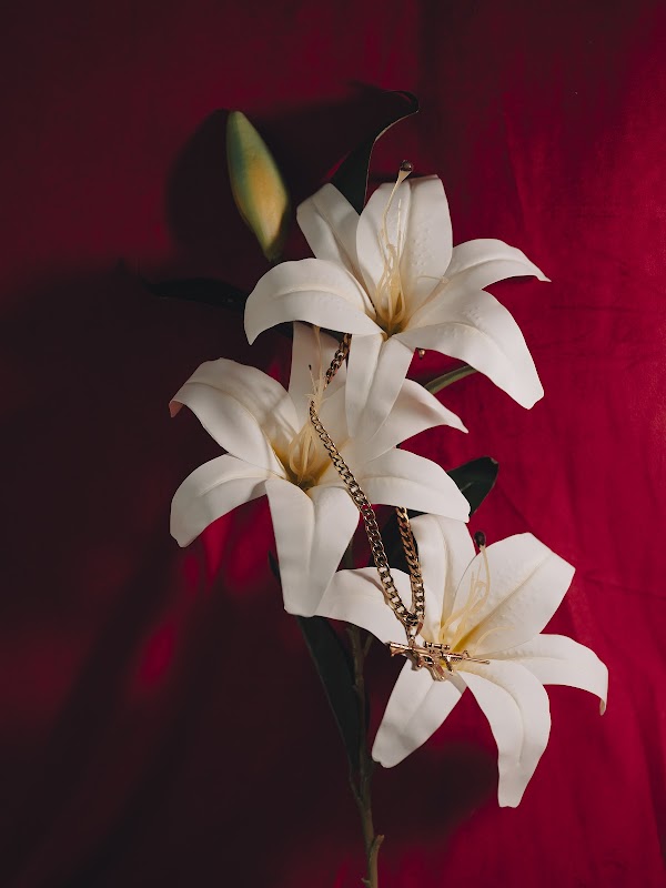 miaforrestphoto's tweet photo. The fleurs in the @obscuratwt reveal thus far!
Madurez @nanigutierrez_ collector @jackthestreet 
In Bloom @EvaVerbeeck collector @Cryptojuiced  Fun Facts 019 @cristinaDmiddel collector @bypip 
New life amidst war, is there hope? @Oks_Parafeniuk collector @mich_viljoen https://t.co/kkxv4kcB1z