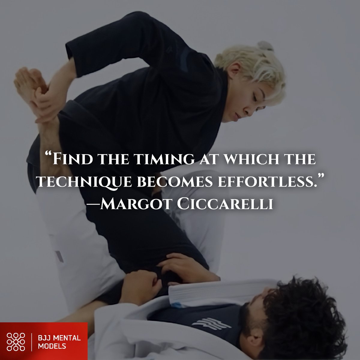 BJJ Mental Models tweet media