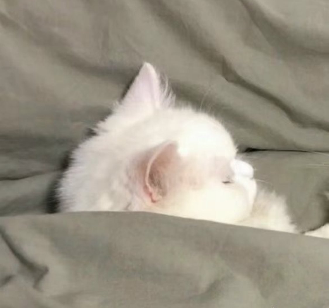 นอนต่อแระค้าบ