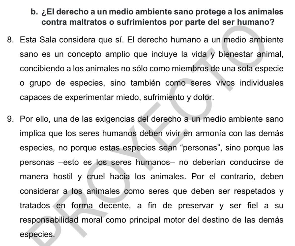 A propósito de toros y peleas de gallos, Segunda Sala <a href="/SCJN/">Suprema Corte</a> pronto resolverá:

"¿El derecho a un medio ambiente sano protege a los animales contra maltratos o sufrimientos por parte del ser humano? Esta Sala considera que sí."

O sea, ambas actividades son inconstitucionales