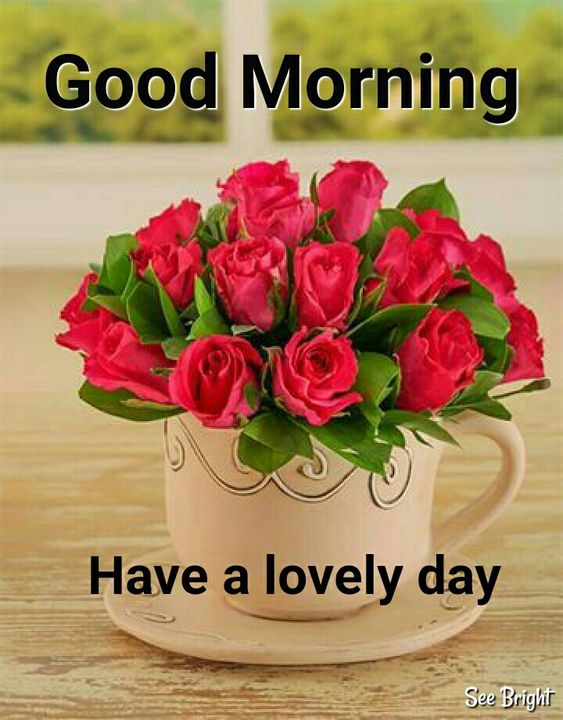 MulayeSuwas's tweet photo. @fatma1122556 https://t.co/9HFjfESalP