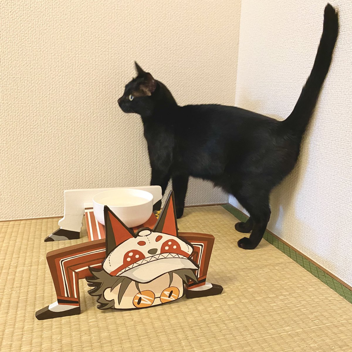 pirafu_em's tweet photo. I made a cat drinking table!🦊🪵🔨🎨

#MystArt #にじさんじ工作部 #cat #DIY https://t.co/KQsmAleBwL