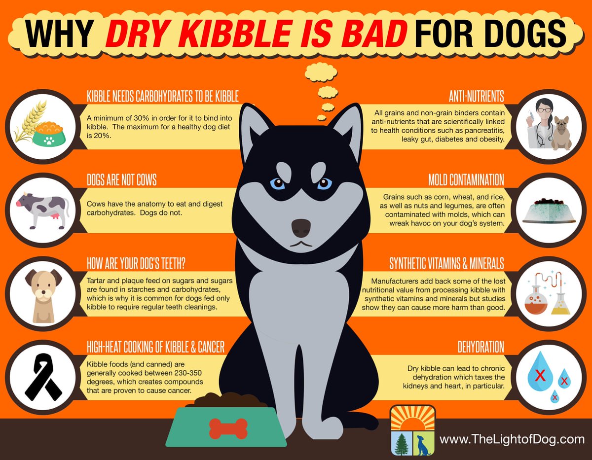 NoMoreKibble tweet media