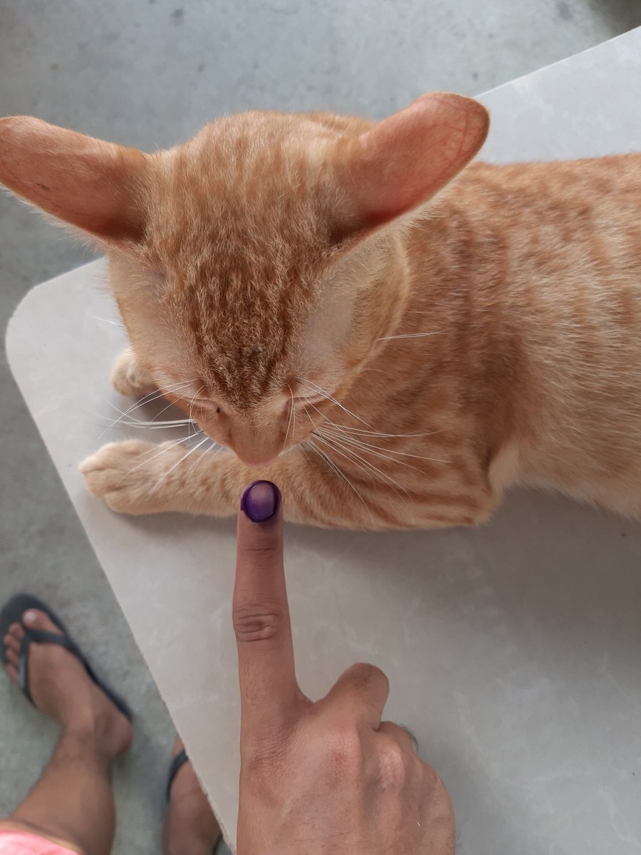 rjaycarl's tweet photo. Vote casted!
#PhilippineElections2022 https://t.co/xUqVchgFNU