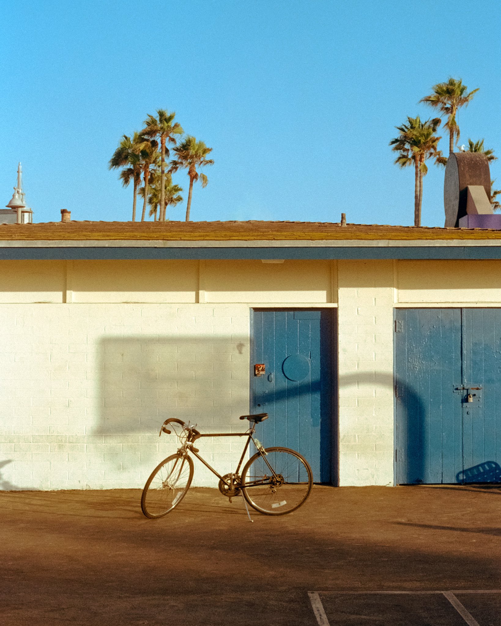 nick rufo on Twitter: 