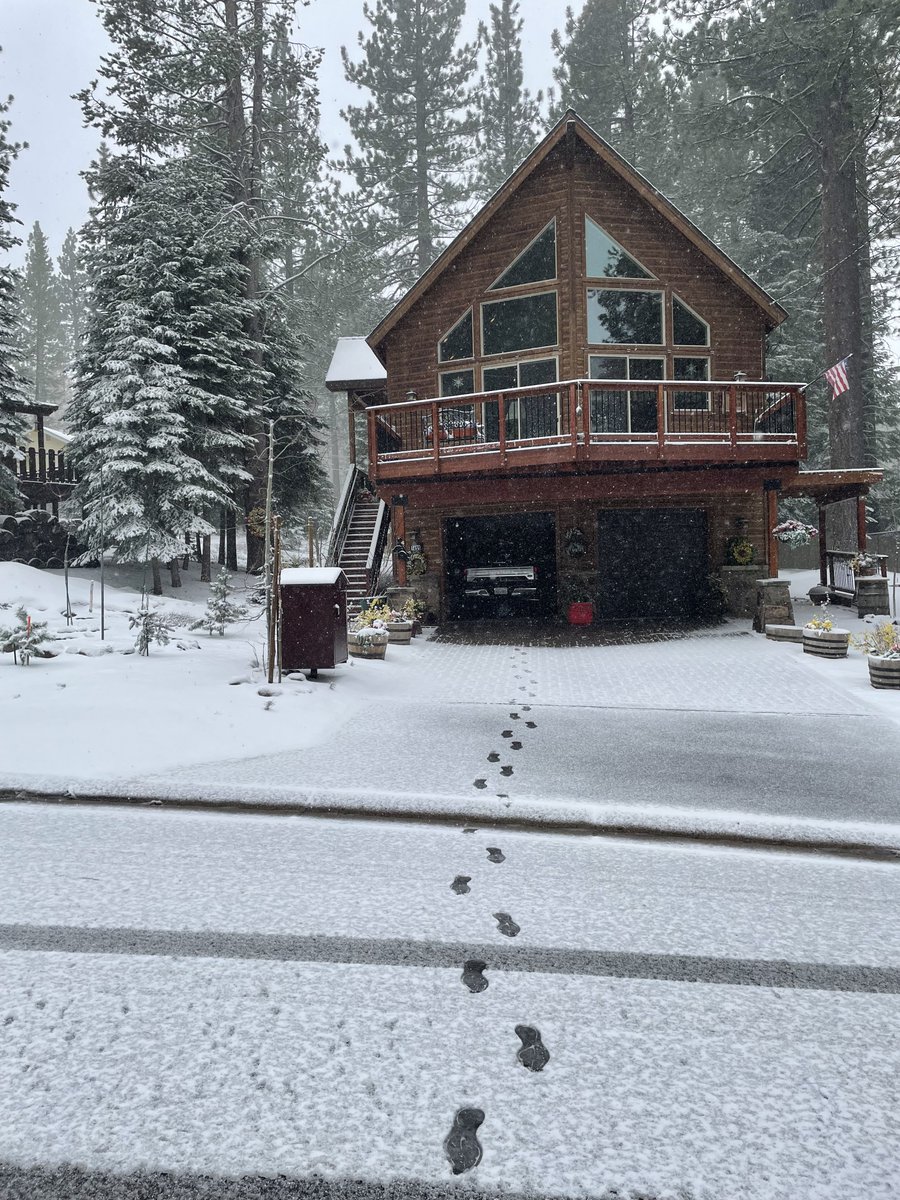 Bob Hawking (@hawksnest_hoops) on Twitter photo 