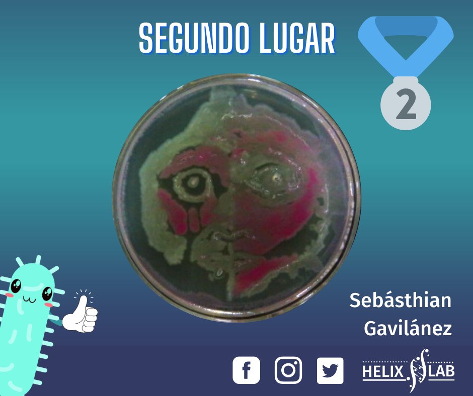 HelixEc's tweet photo. CONOCE A LOS GANADORES DE NUESTRO CONCURSO DE AGAR ART 🥳

Entregaremos 4 premios, 3 por elección del público y uno por elección de los jueces 👏😍

¡Nuestra gratitud total a todos los participantes! #AgarArt https://t.co/8Xnx0Lo5sn