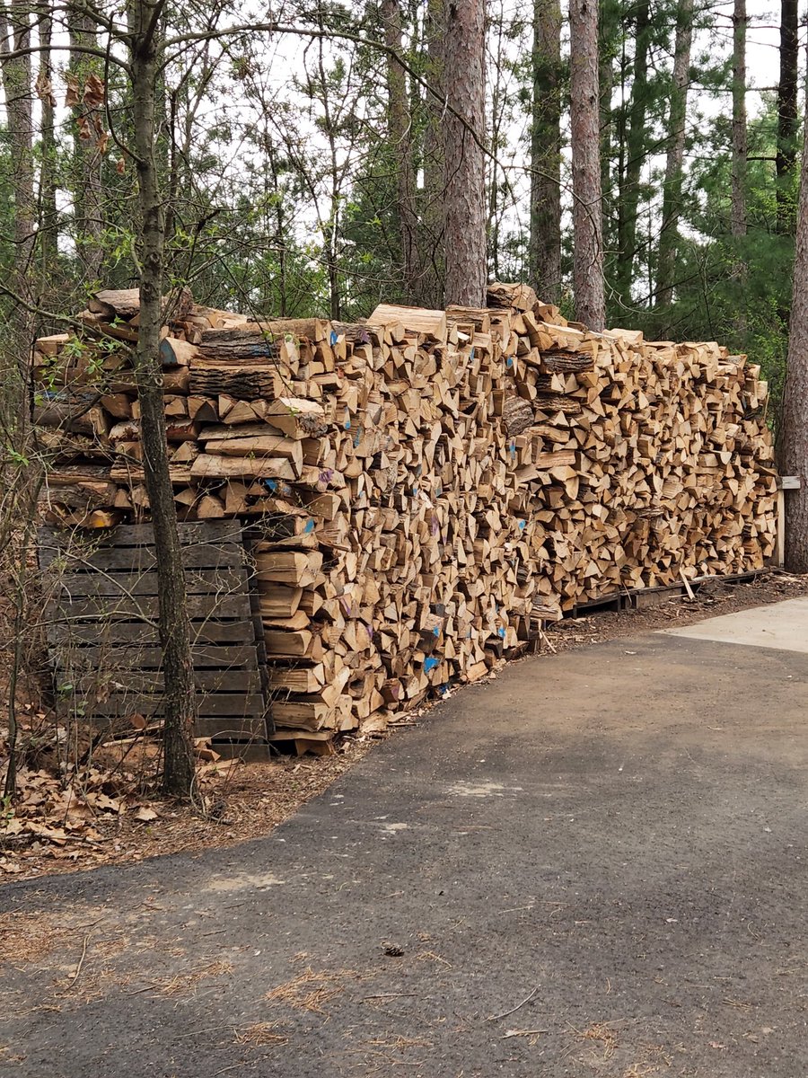 This week been busy stacking firewood.
:)
Hard work but so nice to be toasty warm in winter.