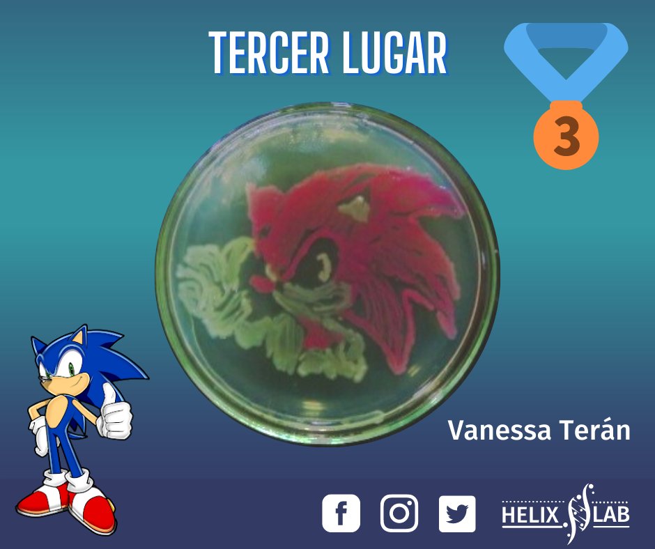 HelixEc's tweet photo. CONOCE A LOS GANADORES DE NUESTRO CONCURSO DE AGAR ART 🥳

Entregaremos 4 premios, 3 por elección del público y uno por elección de los jueces 👏😍

¡Nuestra gratitud total a todos los participantes! #AgarArt https://t.co/8Xnx0Lo5sn