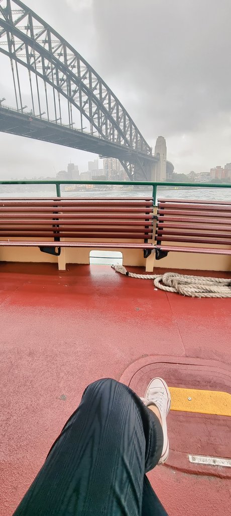 GemmaTognini's tweet photo. Back seat bogan.
#CommuterLyfe
#FreedomFerry https://t.co/s8UPczsVuS