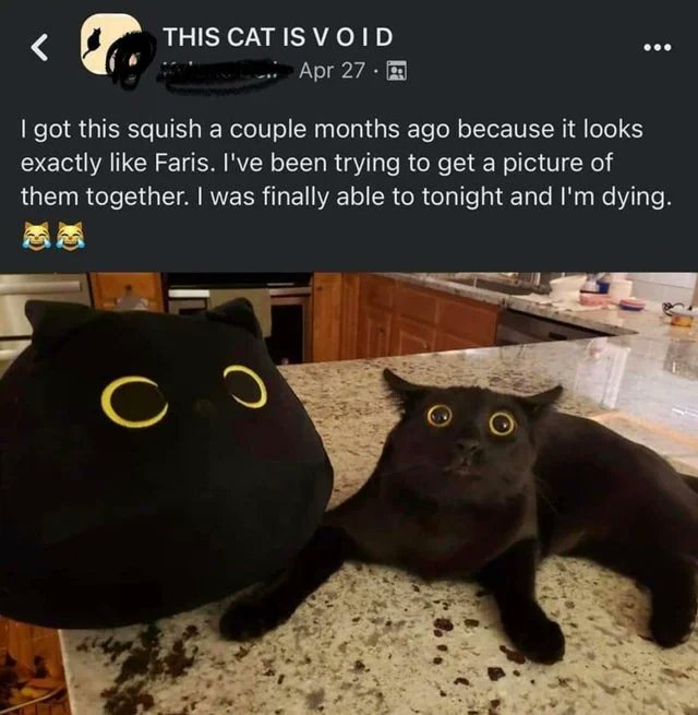 WholesomeMeme's tweet photo. https://t.co/sGLQ0R7Yf1