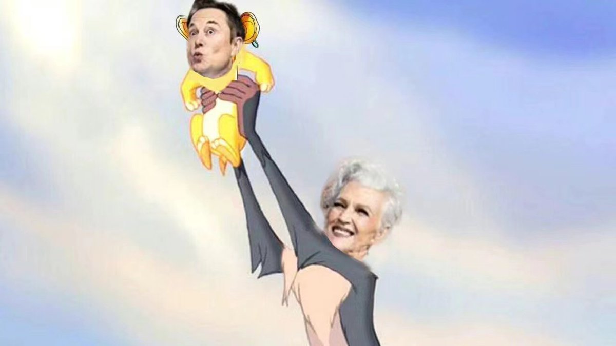 BabyApe00's tweet photo. @elonmusk Happy Mother's Day. https://t.co/cu2D5ncv1R
