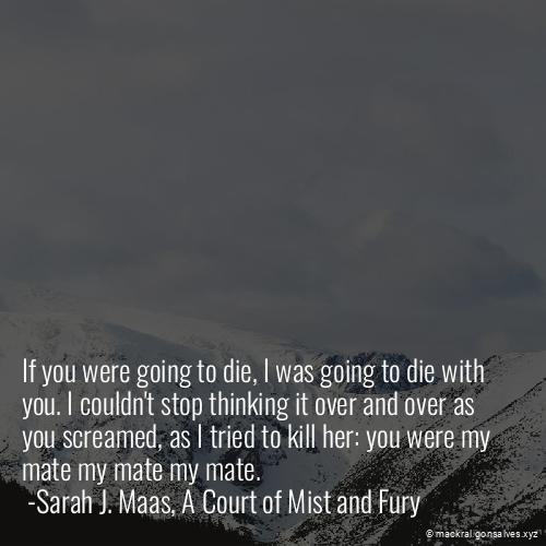i_am_mackral's tweet photo. If you were going to die, I was going to die with you. I couldn't stop thinking it over and over as you screamed, as I tried to kill her: you were my mate my mate my mate.  #acomaf #feyre #love #rhysand #romance #spoilers #Mackral https://t.co/a1osGH5r0F