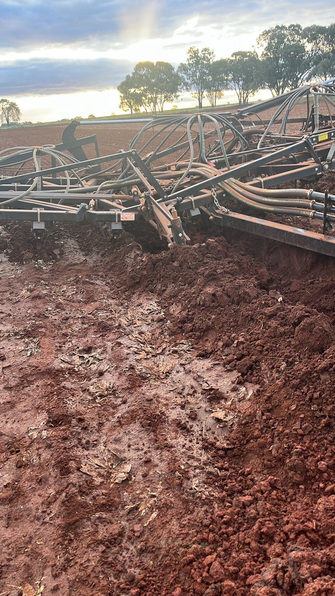 jackopayne tweet media