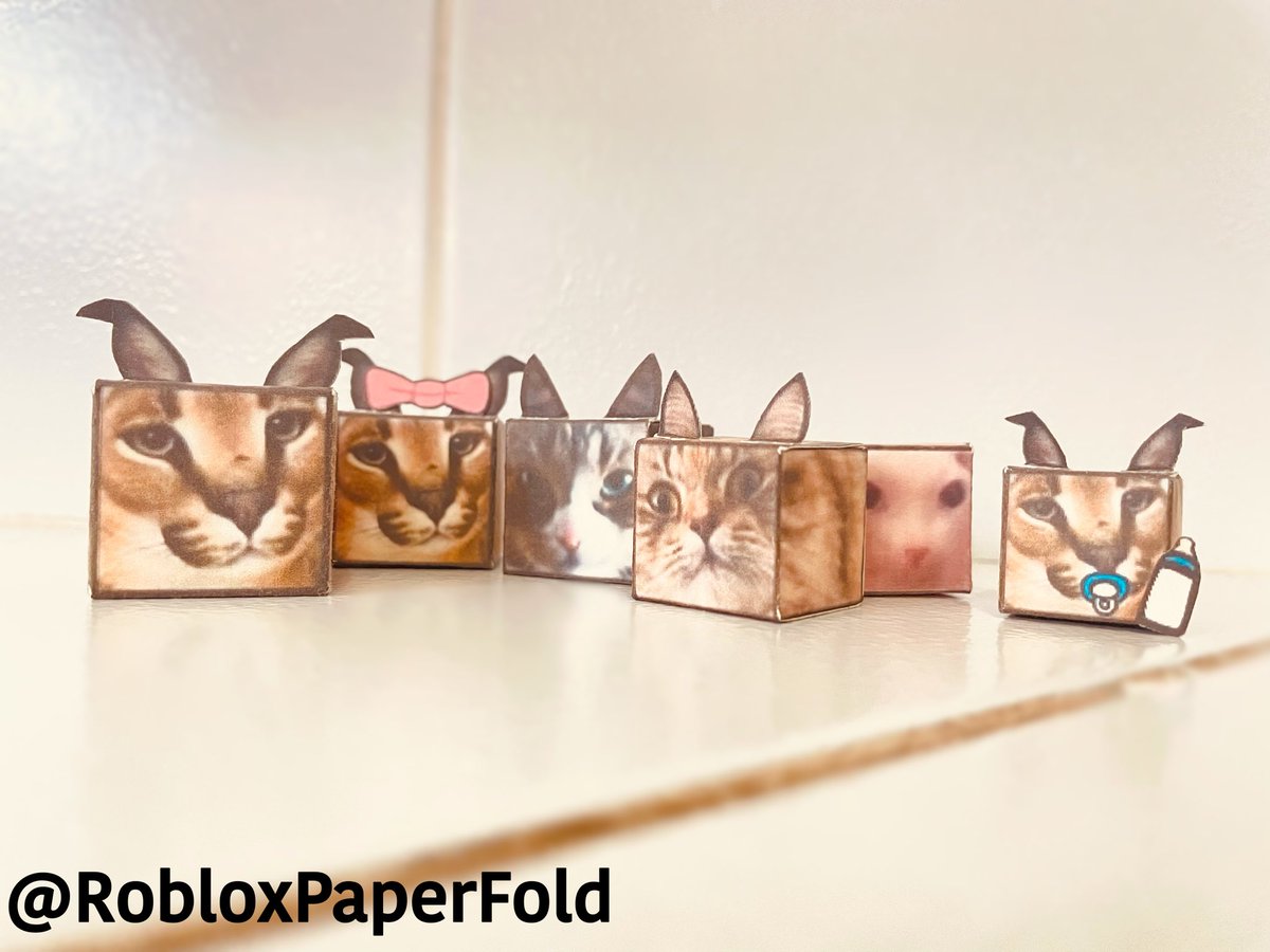 RobloxPaperFold's tweet photo. Everyone, I am open!! Anyways here is Kotek, bingus, and my cat.
#robloxcommission #RobloxCommissions #robloxart #floppa https://t.co/Unc28VB8AF