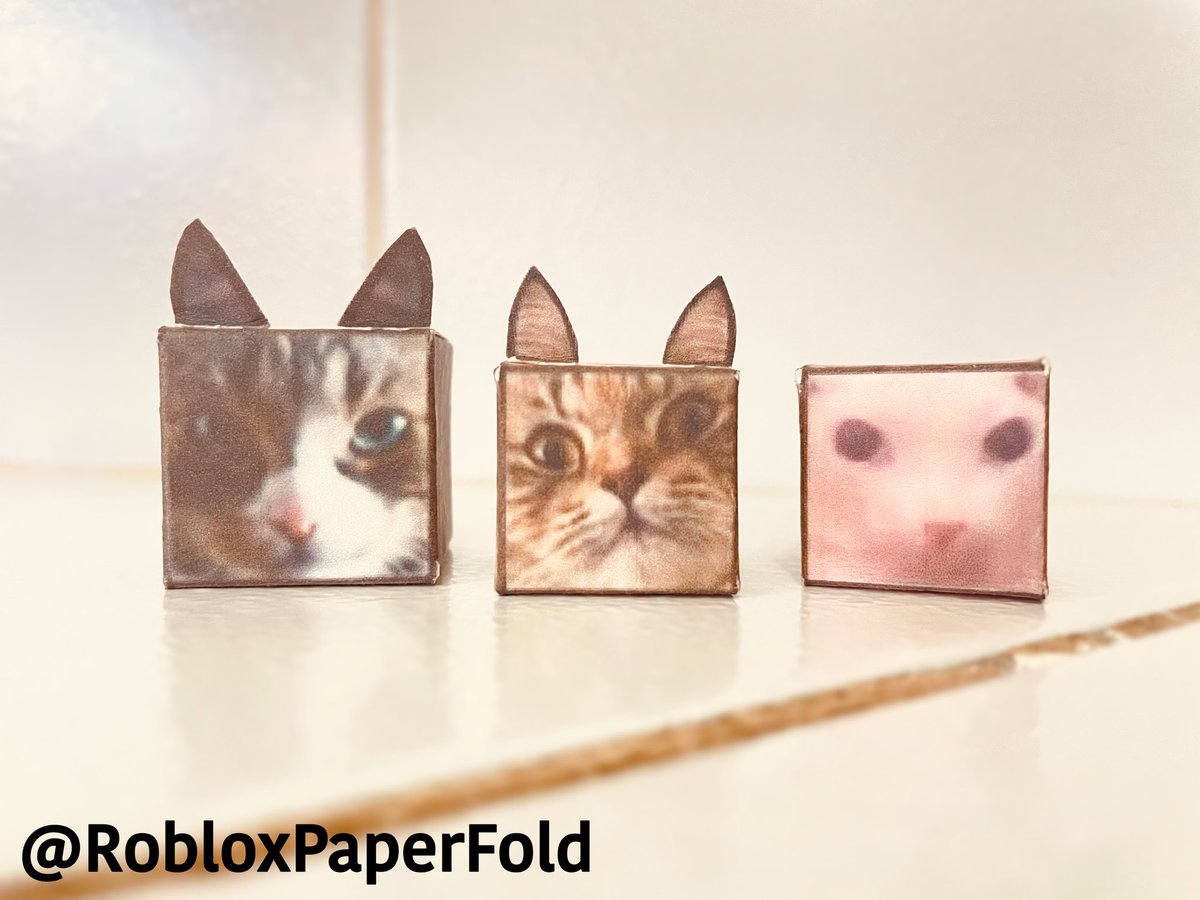 RobloxPaperFold's tweet photo. Everyone, I am open!! Anyways here is Kotek, bingus, and my cat.
#robloxcommission #RobloxCommissions #robloxart #floppa https://t.co/Unc28VB8AF
