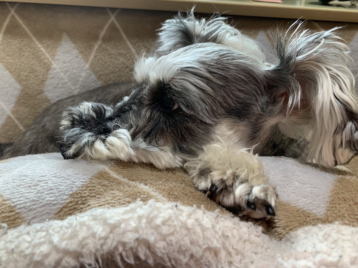 (西八に顔を出したいと思ったんですが、最後の日に席を埋めてしまうのが忍びなく、
立川店から気持ちを飛ばそうかな🐶！！)