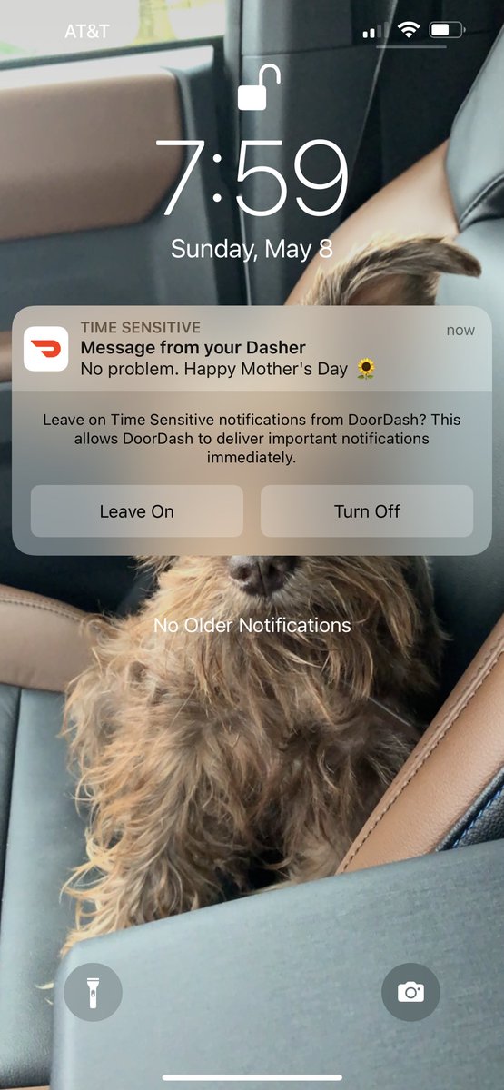 why am i laughing so hard
not a mother but shoutout to my door dash driver for the well wishes