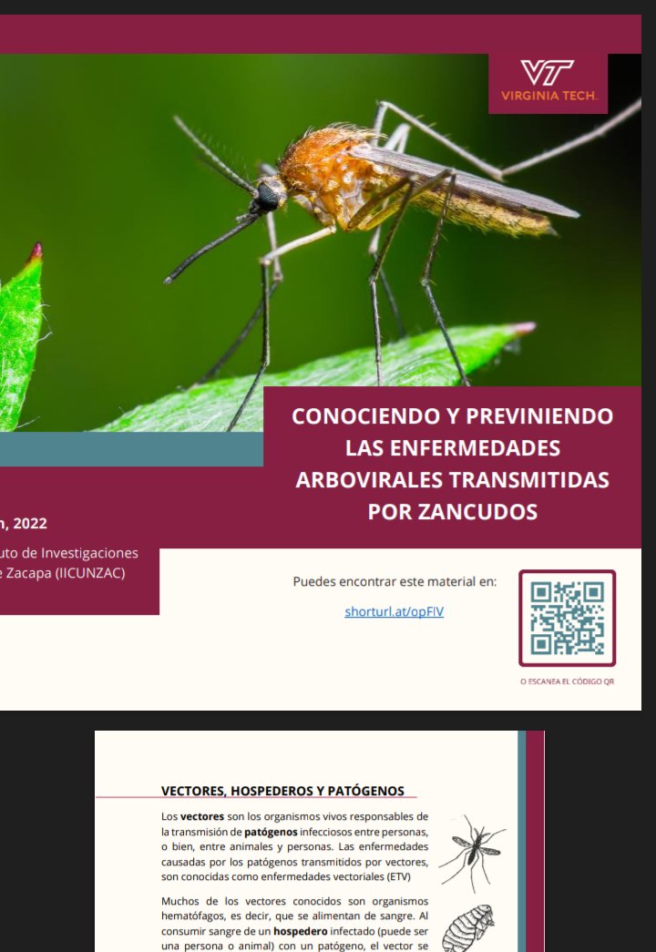 LabEastwood's tweet photo. Community Outreach around our local field sites in Guatemala 🇬🇹. Led by @AnaCristinaHernandez. Helping locals understand the science of vectors and disease research, as they help gather monitoring data. :D
#mosquito #arbovirus #deforestation #VT #Cunzac #CFHF https://t.co/Gx6BaprMgT