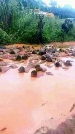 MaziUbaOfficial's tweet photo. No matter how u hate IPOB led by Mazi NnamdiKanu remember to tell the story from the beginning. #IPOB have maintain her peaceful nature till date.
#Amnesty #nigeria #usa #un #UnitedNations #africa #FreeNnamdiKanu #FreeBiafra #EndNigeriaNowToSaveLives #EndNigeriaNow #uk @UN @hrw https://t.co/YCm7gN92GN