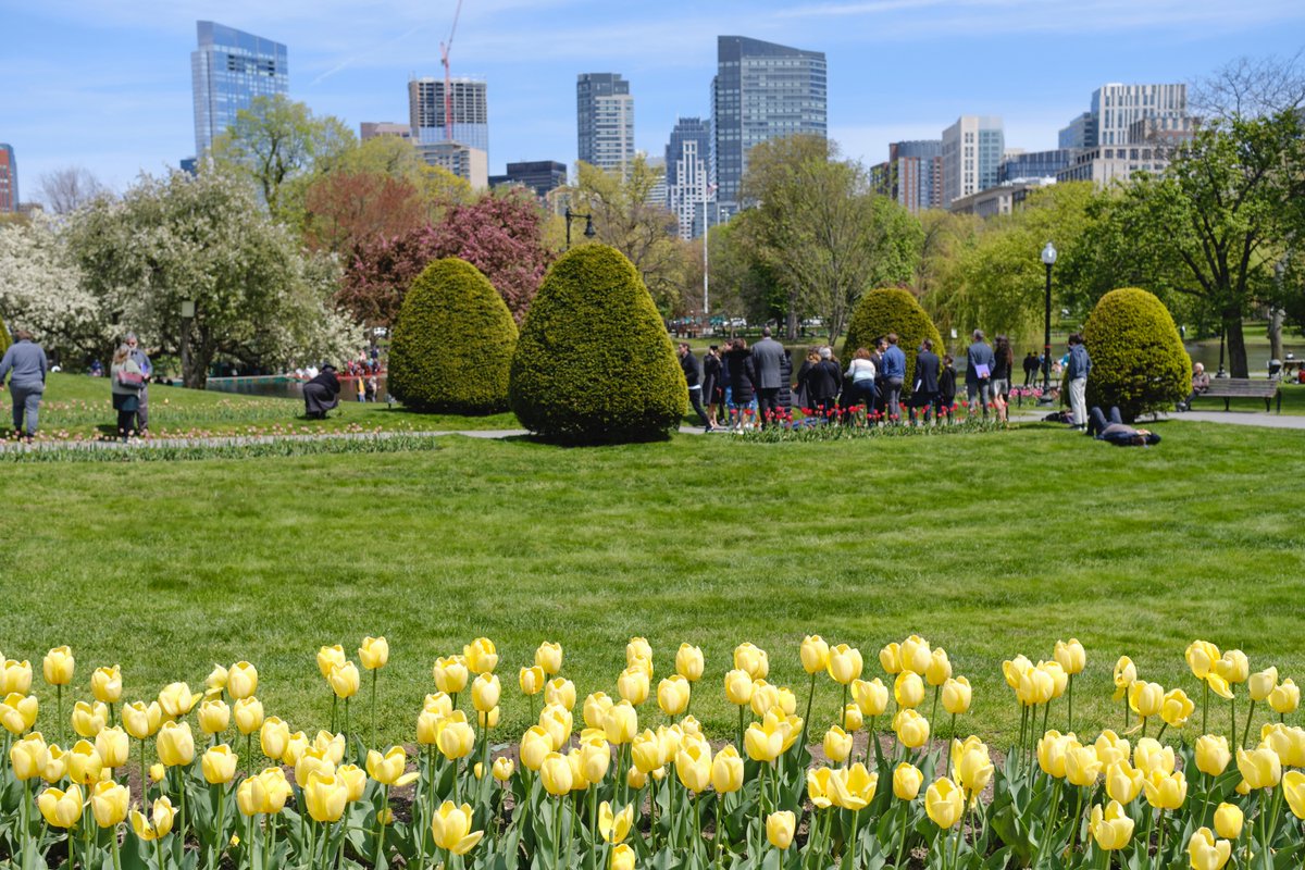 sauravrt's tweet image. #spring #boston #streetphotography