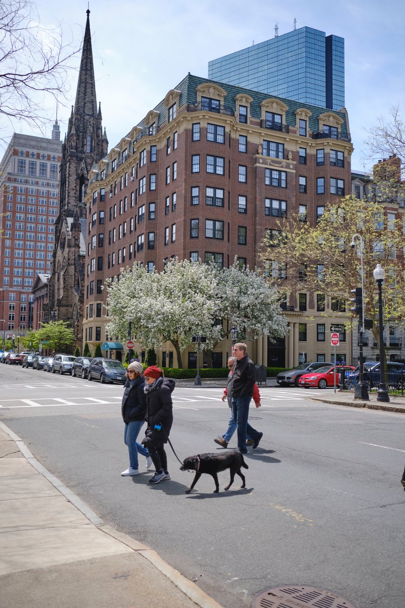 sauravrt's tweet image. #spring #boston #streetphotography