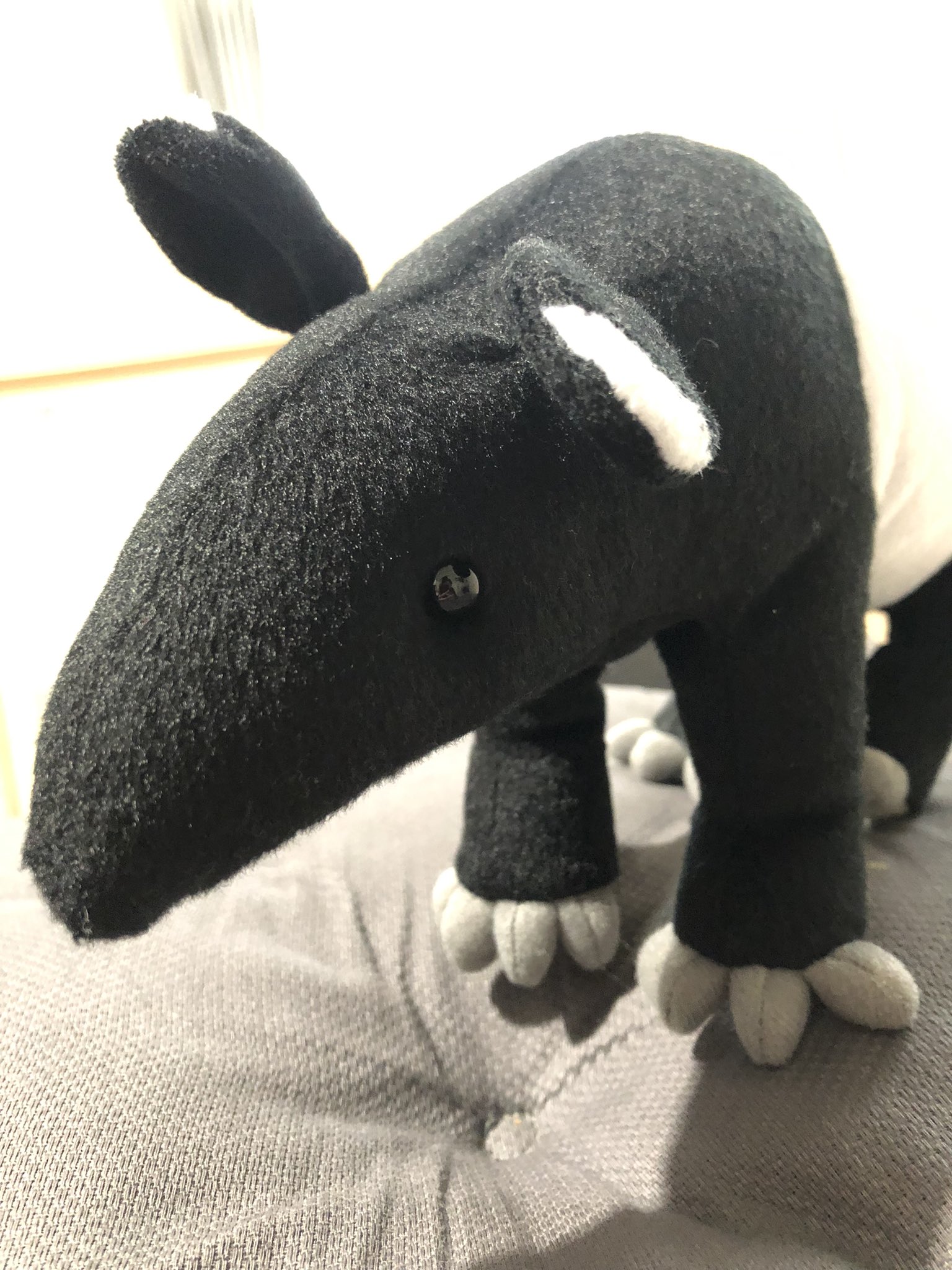 ひぃ よく怖い夢を見てしまう娘の為にバクのぬいぐるみ探してたけど昨日行った多摩動物公園でなかなか理想に近いマレーバクの ぬいぐるみ見付けた 娘の悪夢を食べておくれ T Co Vxokzc9kzu Twitter ひぃ よく怖い夢を見てしまう娘の為にバクのぬいぐるみ探してたけど昨日行った多摩動物公園でなかなか理想に近いマレーバクの ぬいぐるみ見付けた 娘の悪夢を食べておくれ T Co Vxokzc9kzu Twitter