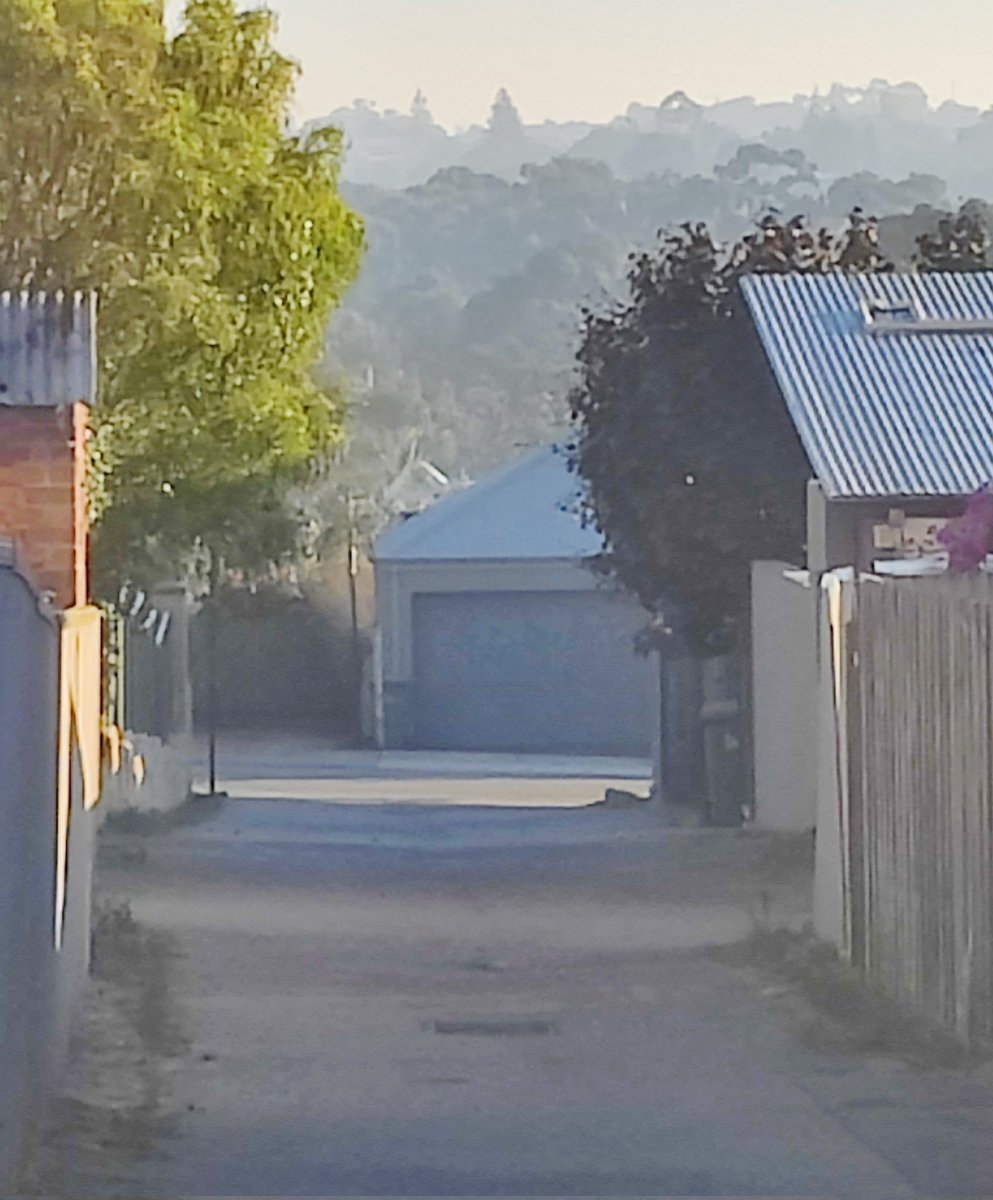 DrGCrisp's tweet photo. Extreme #AirPollution in #perth again today

The practice of burning large swathes of bushland and incinerating wildlife and vegetation resulting in exposure of millions of people to unhealthy air is reckless and irresponsible

@MarkMcGowanMP
@dfes_wa @DWER_WA @_PHAA_WA https://t.co/x8s9c19vr4