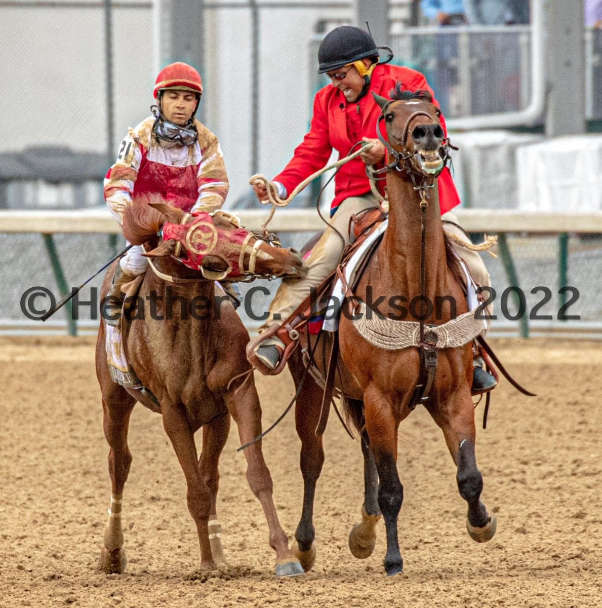 PFTCommenter's tweet image. 🐐