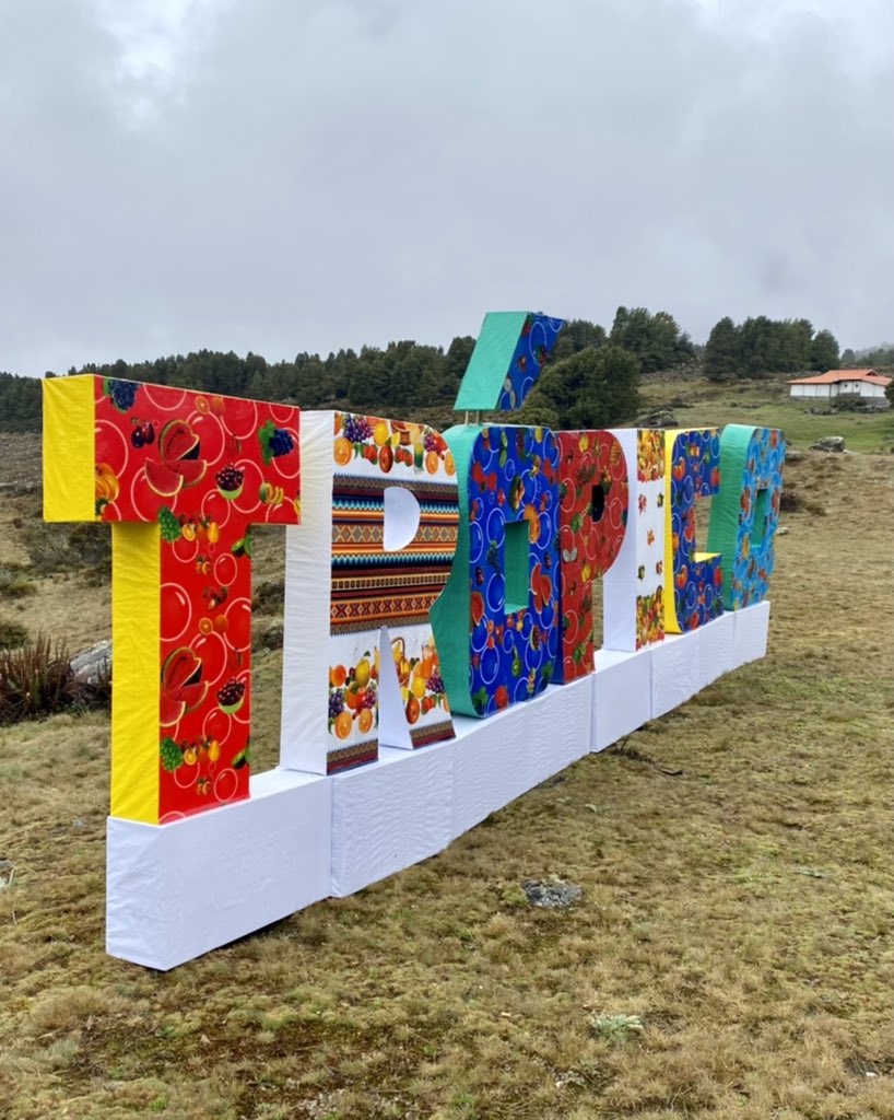 Esvin Alarcón Lam tweet media