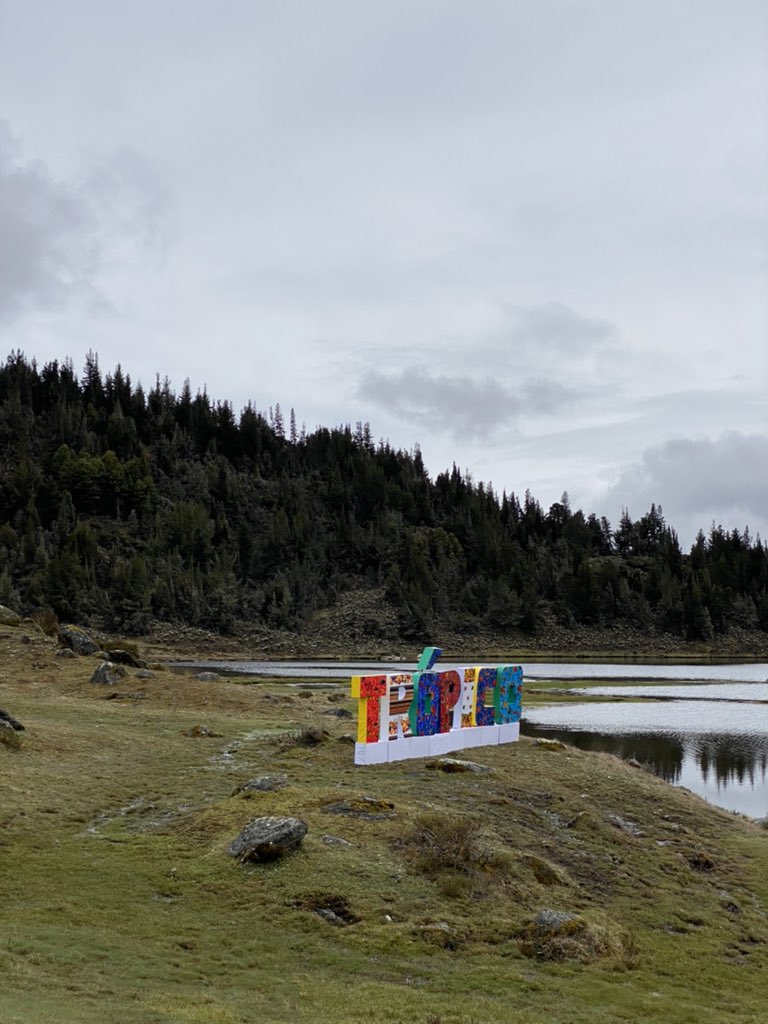 Esvin Alarcón Lam tweet media