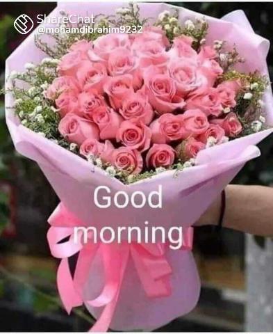MulayeSuwas's tweet photo. @Suhani75421026 @MNTM169 https://t.co/yQNe5X5pe8