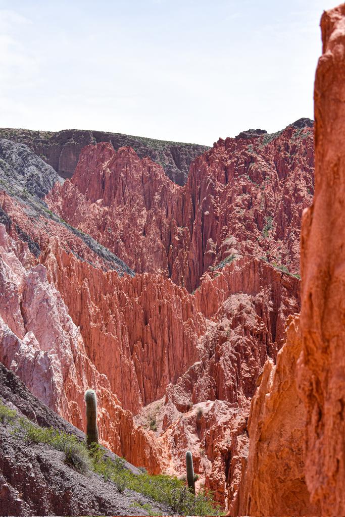 Un paseo por La Quebrada de las Señoritas🌵🏜 #jujuy #uquia #trekking #norteargentino 
Mira el video completo, te contamos todo lo que tenes que saber para conocer este lugar 👇 
youtu.be/Ii_q6-RBBX0