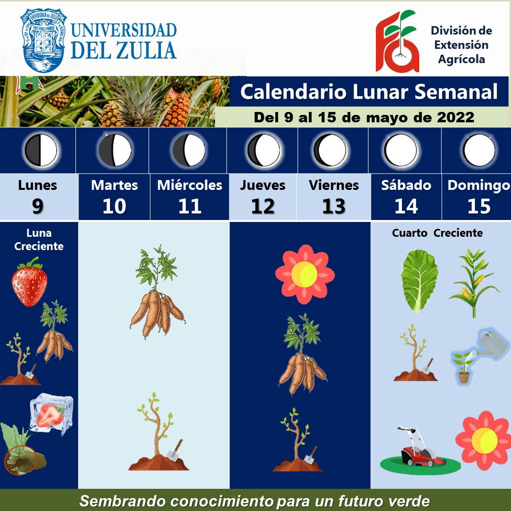 Ext. Agríc. FagroLUZ tweet media