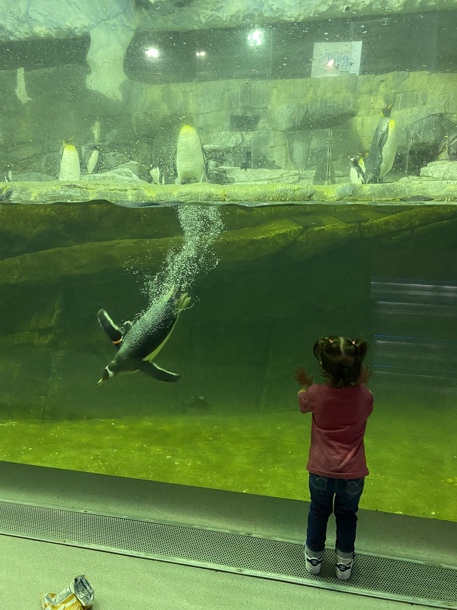 TheRealAnnaFegi's tweet photo. Weekend full of fun.  The last photo was giving up after 5 minutes of trying to take a photo together with Snoopy with her looking at the camera.

#kingsisland #newportaquarium #weekend #Cincinnati https://t.co/xNOsqMZLPN