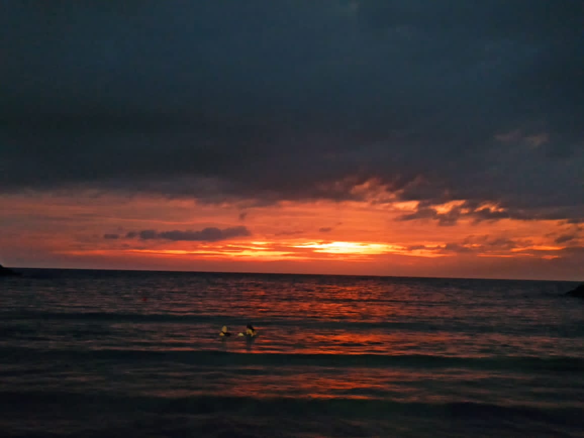 José Alejandro Terán tweet media