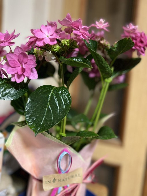 Twitterのコスプレ画像11