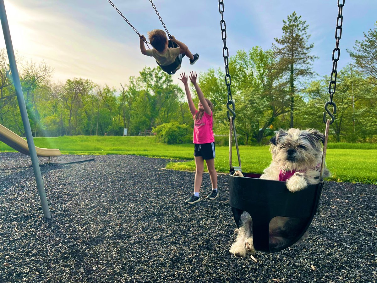 overstake's tweet photo. Today on the playground, my kids had a day they’ll never forget, while one swing over, my dog found herself in the grips of an existential crisis. https://t.co/A5AMovMCbm