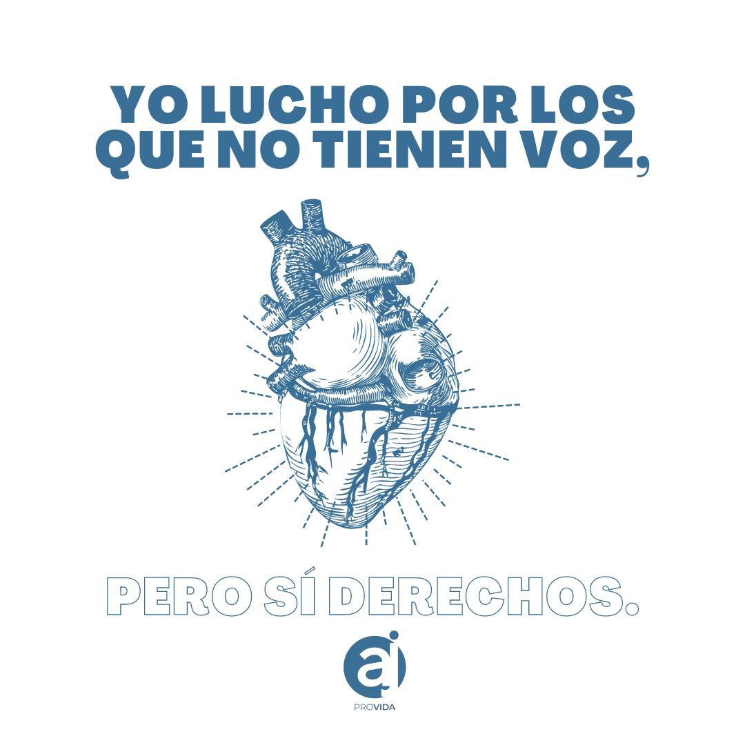 AjProvida's tweet photo. Déjalo latir 💙

#SiALaVida
#NoAlAborto https://t.co/WJcrBikfJw