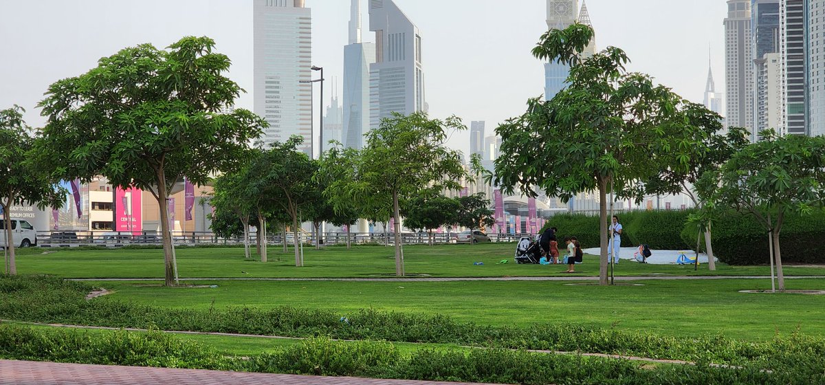 TafNjie's tweet photo. Lessons from #Dubai for #African countries: Dubai is in the desert but the authorities are doing everything possible to make the place look green by planting trees. Other African countries even in the rain forest are not doing the same...WHY, WHY, WHY???
#EnvironmentalProtection https://t.co/staLHewdjJ